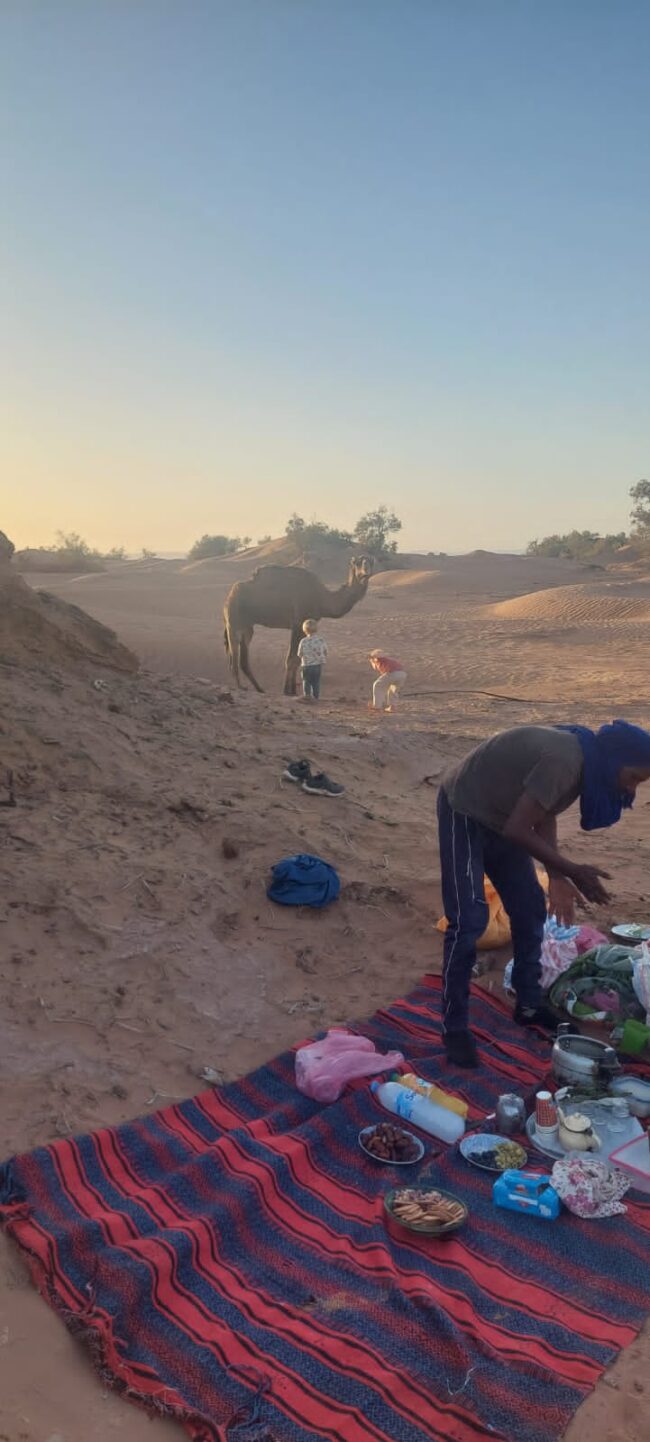 Sahara Secret