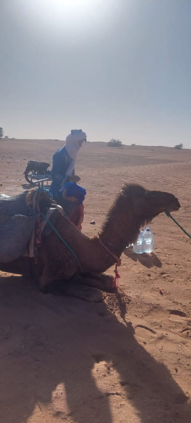 Sahara Secret