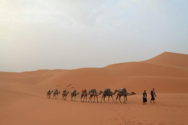Sahara Secret