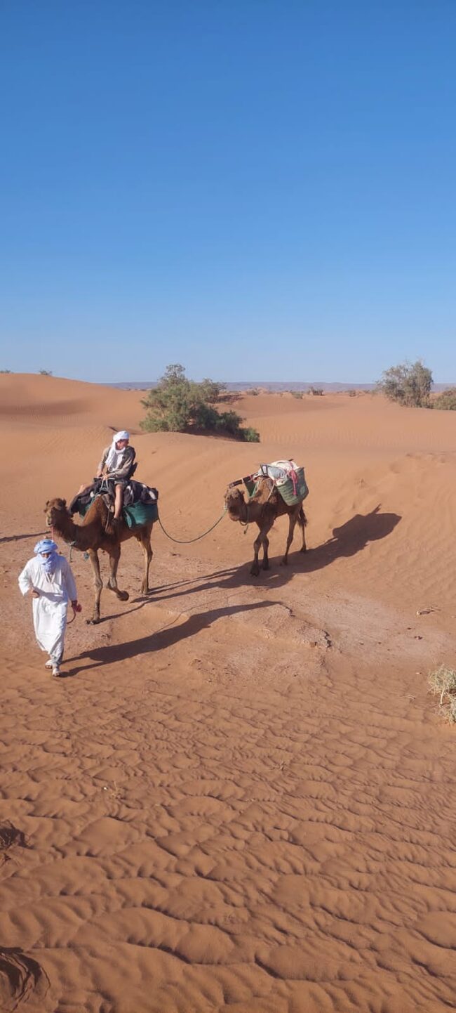 Sahara Secret