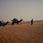 Sahara Secret