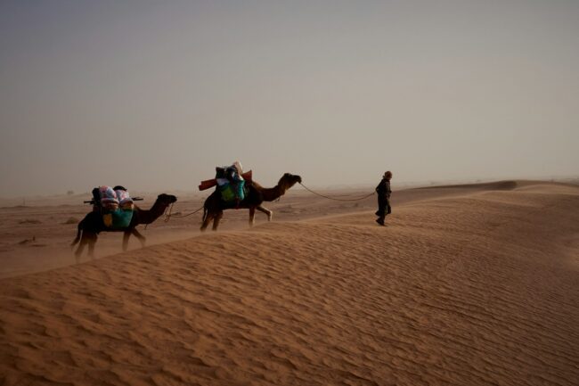Sahara Secret
