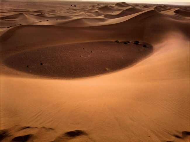 Sahara Secret